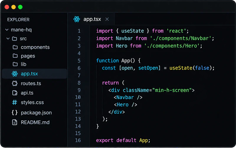 Web and software development interface